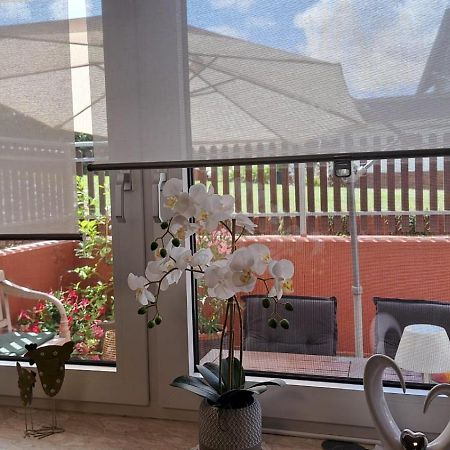 Ferienwohnung Am Reitersgaesschen Blankenrath Exterior foto